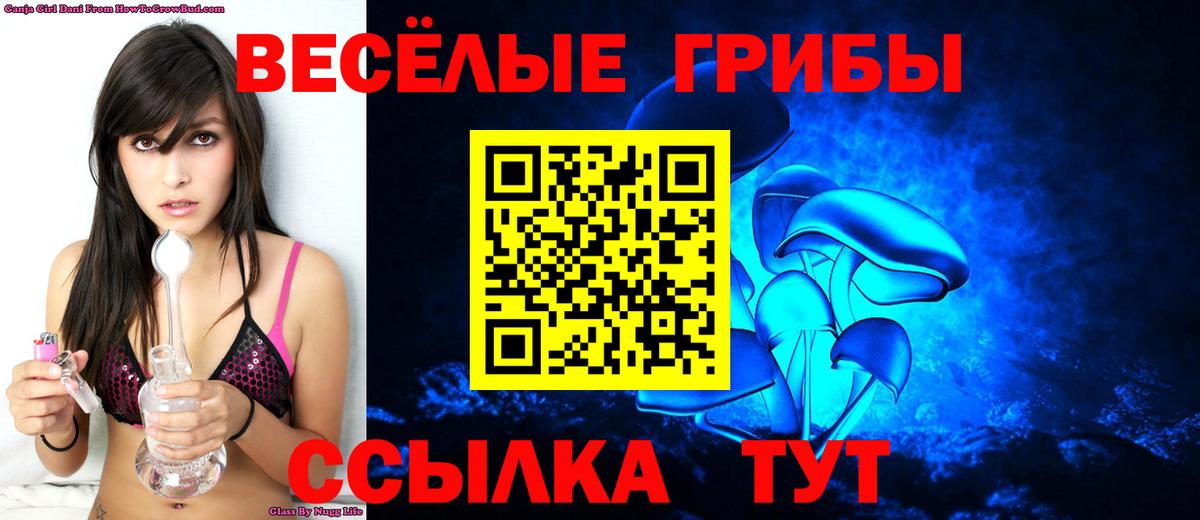 Псилоцибиновые грибы Magic Shrooms  Галлюциногенные грибы GOLDEN TEACHER  Дубна  Вход с VPN 
