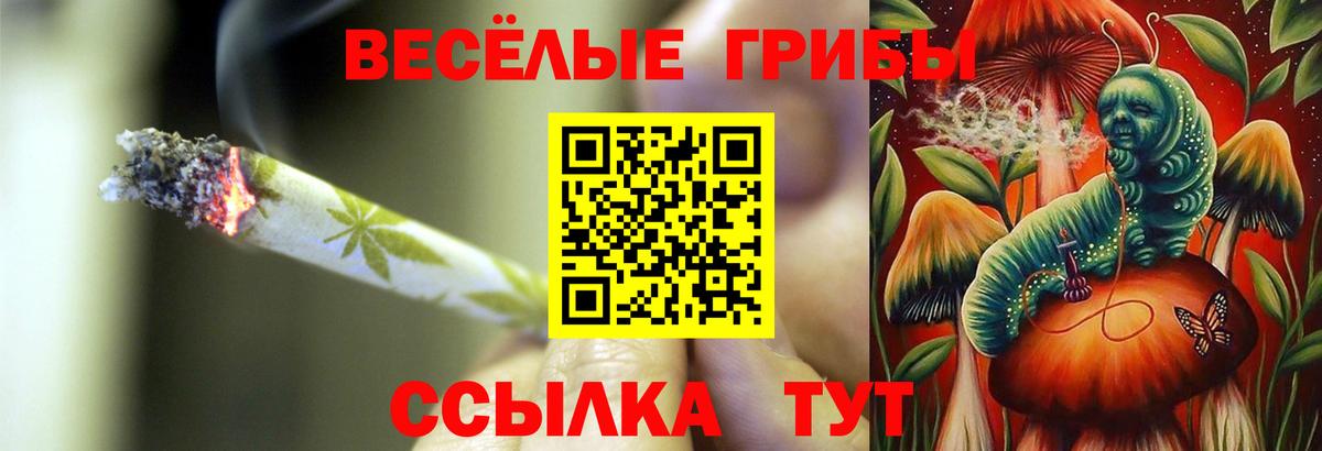 Галлюциногенные грибы Magic Shrooms Дубна